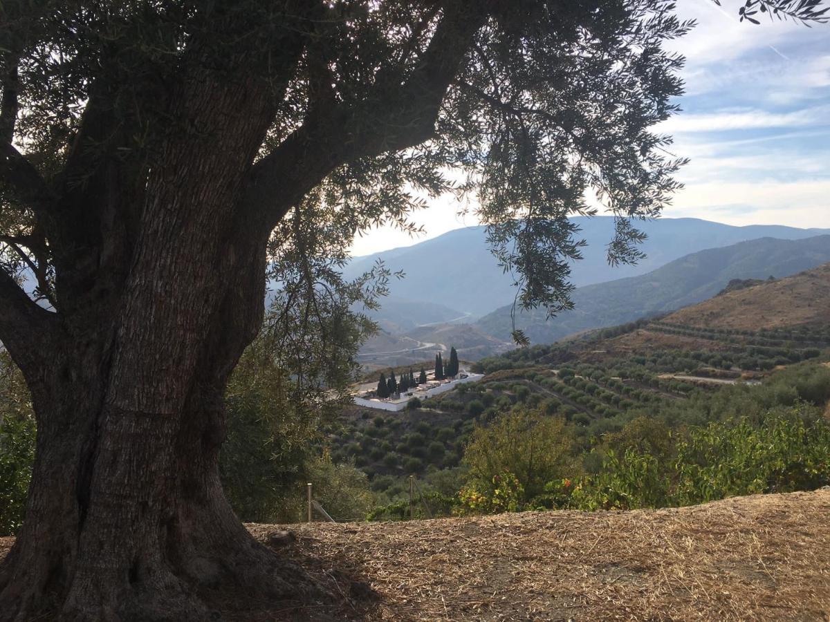 Jardin Andaluz Appart Alhambra Pinos del Valle Екстер'єр фото